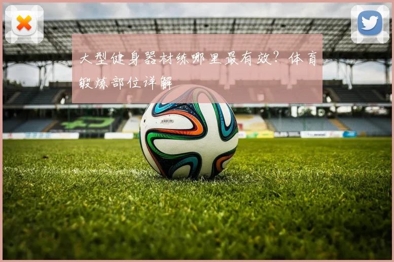 大型健身器材练哪里最有效？体育锻炼部位详解