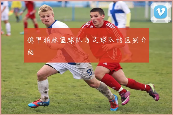德甲柏林篮球队与足球队的区别介绍
