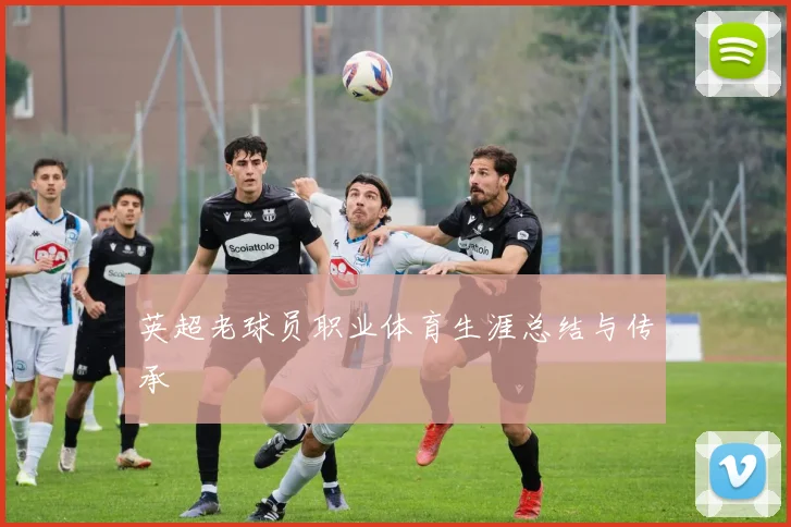 英超老球员职业体育生涯总结与传承